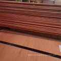 High Quality 99.99% Copper Cathode Electrolytic Copper